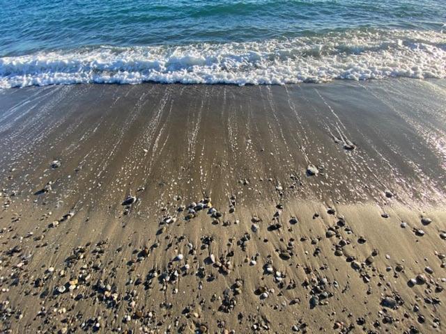 Palmsea Marbella-Estepona Buenas Noches Eksteriør bilde